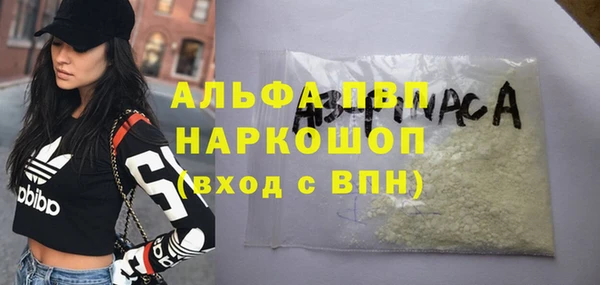 МДПВ Пересвет