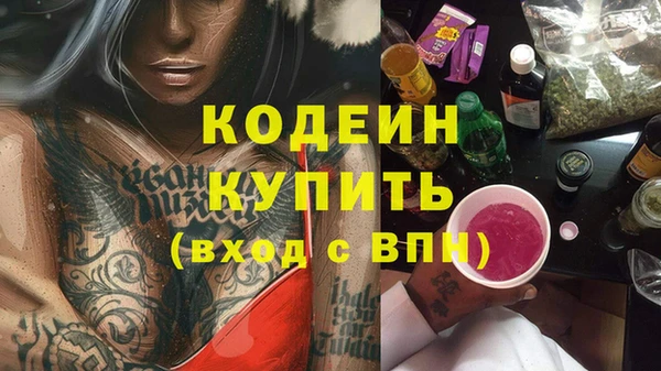 хмурый Пестово