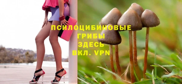 МДПВ Пересвет