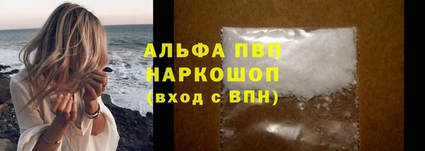 хмурый Пестово