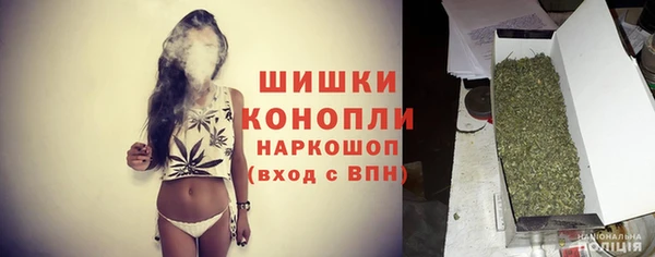 хмурый Пестово