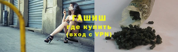 МДПВ Пересвет
