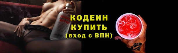 МДПВ Пересвет