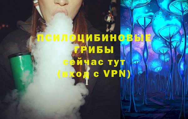 хмурый Пестово