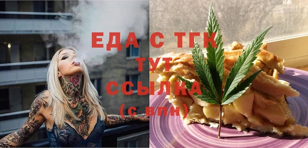МДПВ Пересвет