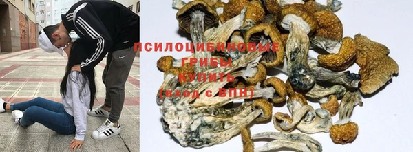 синтетический гашиш Переславль-Залесский