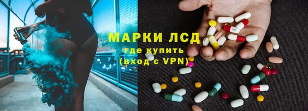 МДПВ Пересвет