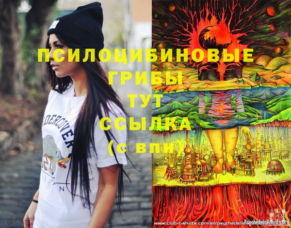 МДПВ Пересвет