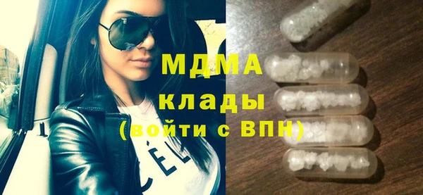 МДПВ Пересвет