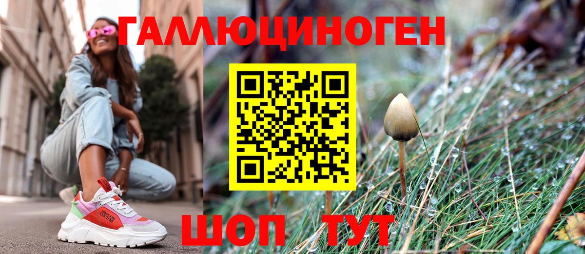 Альфа ПВП Саров